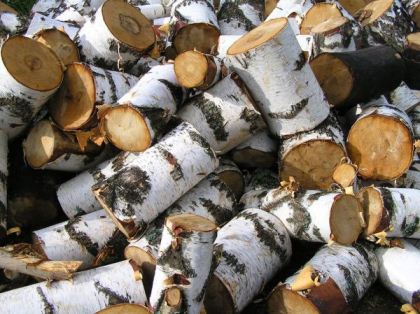 Купить дрова в Туле с доставкой